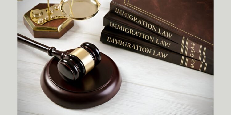 How Legal Services Help Immigrants Navigate Complex Systems
